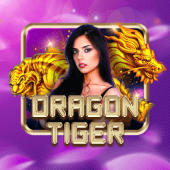Dragon Tiger table game 5 live casino